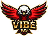 VIBE189